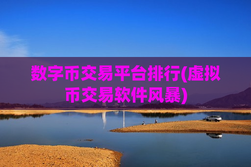 数字币交易平台排行(虚拟币交易软件风暴)