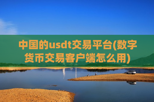 中国的usdt交易平台(数字货币交易客户端怎么用)