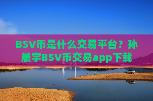 BSV币是什么交易平台？孙晨宇BSV币交易app下载