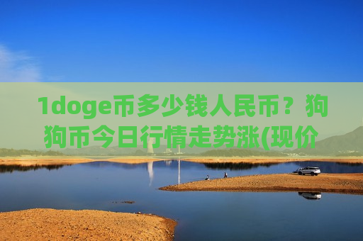 1doge币多少钱人民币？狗狗币今日行情走势涨(现价2.938元)