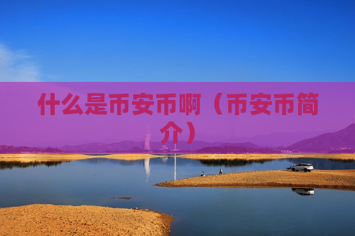 什么是币安币啊（币安币简介）
