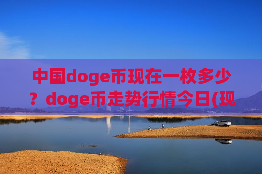 中国doge币现在一枚多少？doge币走势行情今日(现价2.9366元)