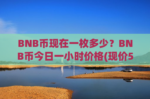 BNB币现在一枚多少？BNB币今日一小时价格(现价5195.98元)