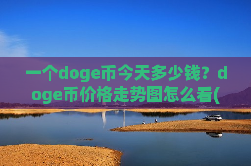 一个doge币今天多少钱？doge币价格走势图怎么看(现价2.9073元)