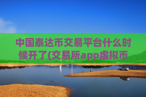 中国泰达币交易平台什么时候开了(交易所app虚拟币探秘)