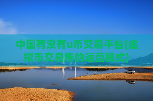 中国有没有u币交易平台(虚拟币交易所的运营模式)