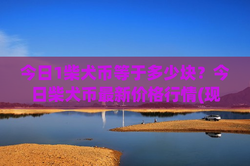 今日1柴犬币等于多少块？今日柴犬币最新价格行情(现价0.00020008元)