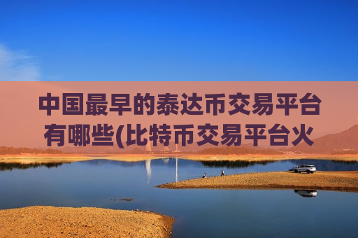 中国最早的泰达币交易平台有哪些(比特币交易平台火热上线)