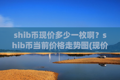 shib币现价多少一枚啊？shib币当前价格走势图(现价0.00020008元)