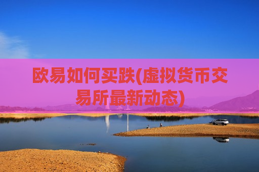 欧易如何买跌(虚拟货币交易所最新动态)