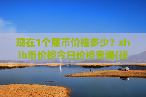 现在1个屎币价格多少？shib币价格今日价格查询(现价0.00019979元)