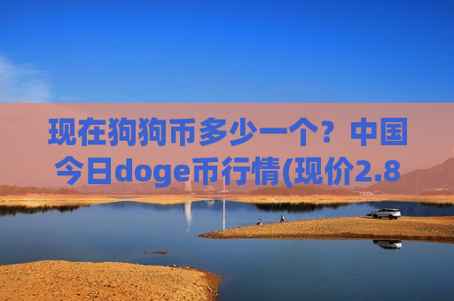 现在狗狗币多少一个？中国今日doge币行情(现价2.8988元)