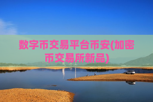 数字币交易平台币安(加密币交易所新品)