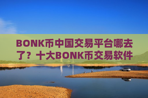 BONK币中国交易平台哪去了？十大BONK币交易软件排名榜