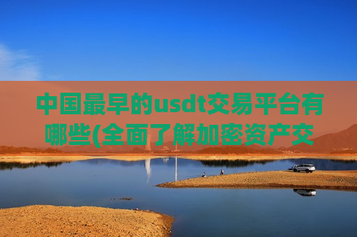 中国最早的usdt交易平台有哪些(全面了解加密资产交易平台)
