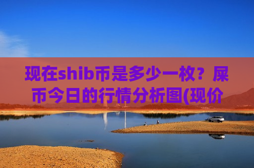 现在shib币是多少一枚？屎币今日的行情分析图(现价0.00019885元)