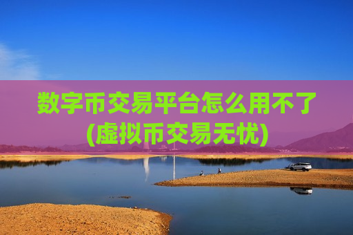 数字币交易平台怎么用不了(虚拟币交易无忧)
