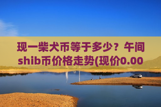 现一柴犬币等于多少？午间shib币价格走势(现价0.00020217元)