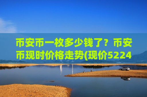 币安币一枚多少钱了？币安币现时价格走势(现价5224.66元)