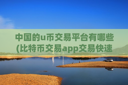 中国的u币交易平台有哪些(比特币交易app交易快速)