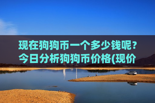 现在狗狗币一个多少钱呢？今日分析狗狗币价格(现价2.9395元)
