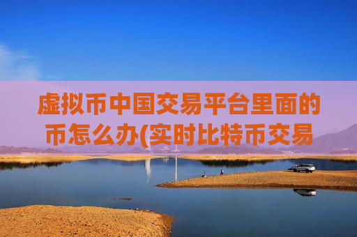 虚拟币中国交易平台里面的币怎么办(实时比特币交易通知)