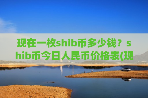 现在一枚shib币多少钱？shib币今日人民币价格表(现价0.00020248元)