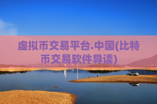虚拟币交易平台.中国(比特币交易软件导读)