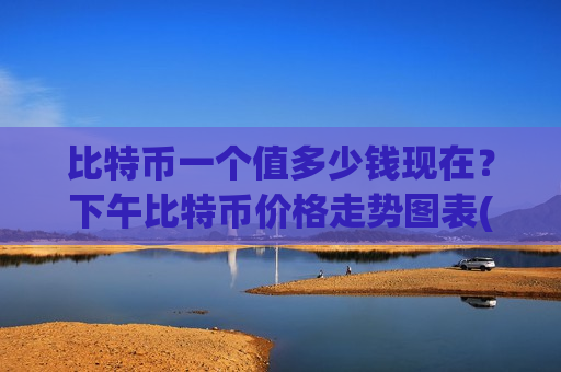 比特币一个值多少钱现在？下午比特币价格走势图表(现价751810.89元)