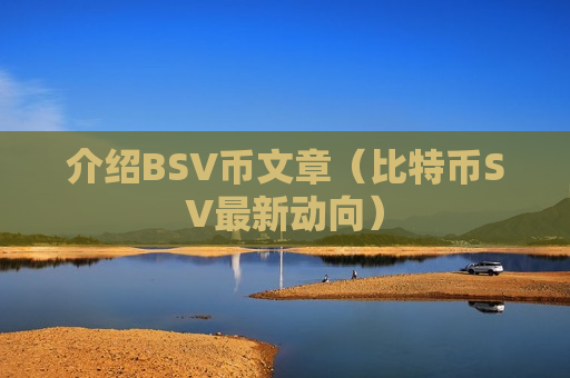 介绍BSV币文章（比特币SV最新动向）-第1张图片-币圈网