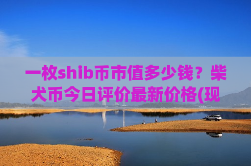 一枚shib币市值多少钱？柴犬币今日评价最新价格(现价0.00020245元)