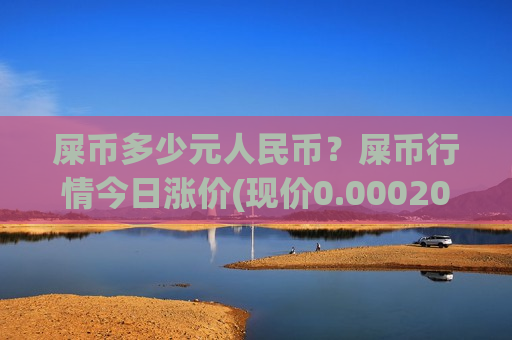 屎币多少元人民币？屎币行情今日涨价(现价0.00020241元)