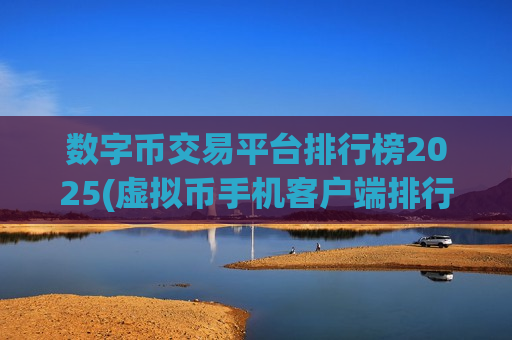 数字币交易平台排行榜2025(虚拟币手机客户端排行)