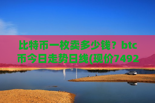 比特币一枚卖多少钱？btc币今日走势日线(现价749287.27元)
