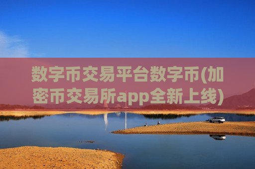 数字币交易平台数字币(加密币交易所app全新上线)