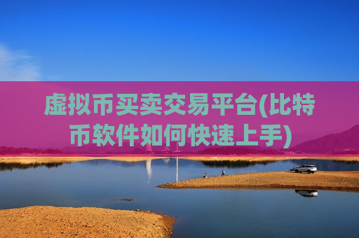 虚拟币买卖交易平台(比特币软件如何快速上手)