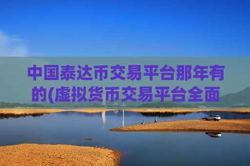 中国泰达币交易平台那年有的(虚拟货币交易平台全面分析)