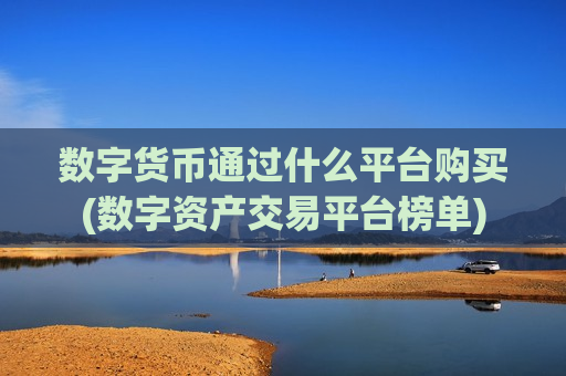 数字货币通过什么平台购买(数字资产交易平台榜单)-第1张图片-币圈网