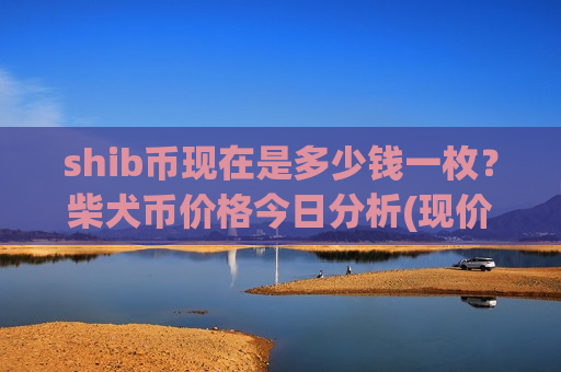 shib币现在是多少钱一枚？柴犬币价格今日分析(现价0.00020183元)