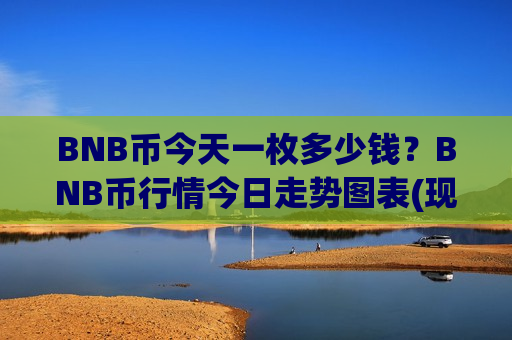 BNB币今天一枚多少钱？BNB币行情今日走势图表(现价5196.56元)