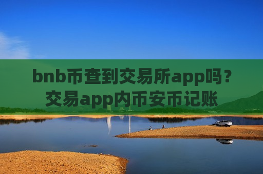 bnb币查到交易所app吗？交易app内币安币记账