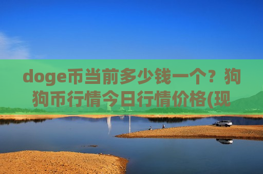 doge币当前多少钱一个？狗狗币行情今日行情价格(现价2.8883元)