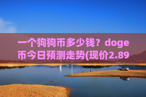 一个狗狗币多少钱？doge币今日预测走势(现价2.8905元)