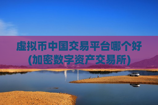 虚拟币中国交易平台哪个好(加密数字资产交易所)