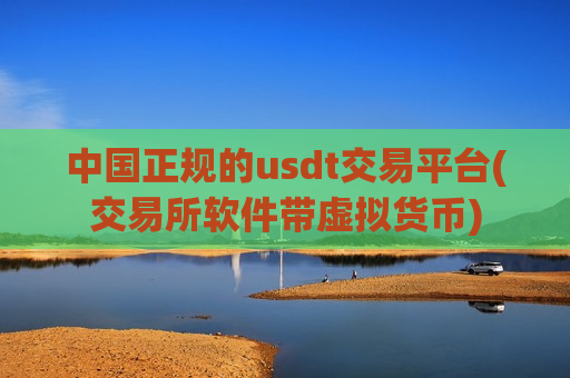 中国正规的usdt交易平台(交易所软件带虚拟货币)