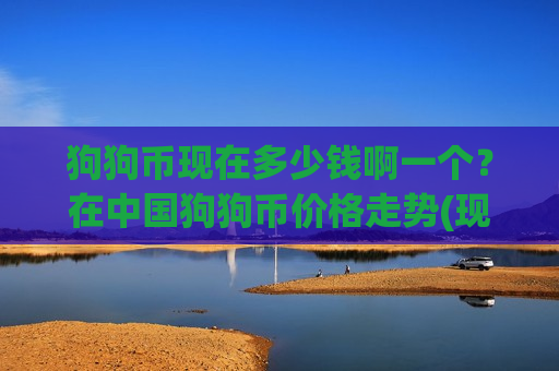 狗狗币现在多少钱啊一个？在中国狗狗币价格走势(现价2.8869元)