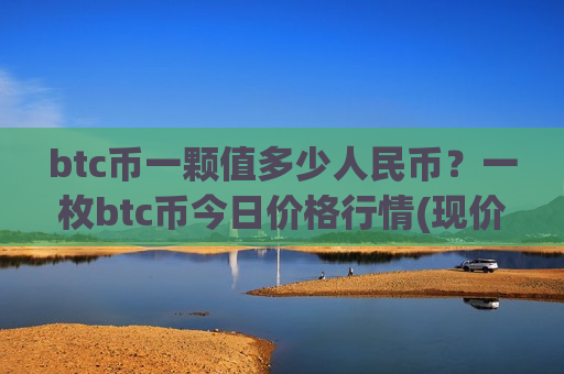 btc币一颗值多少人民币？一枚btc币今日价格行情(现价740065.85元)