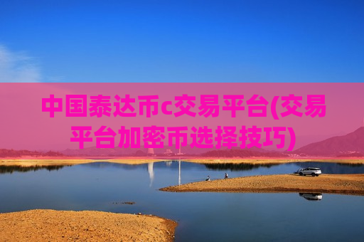 中国泰达币c交易平台(交易平台加密币选择技巧)