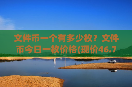 文件币一个有多少枚？文件币今日一枚价格(现价46.7423元)