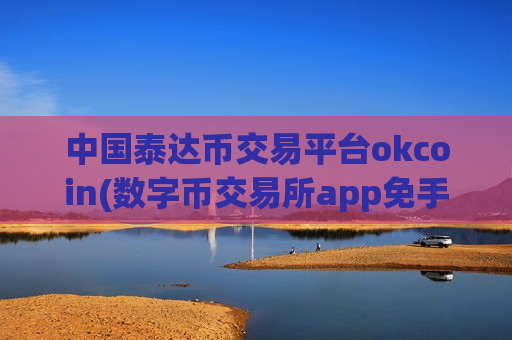 中国泰达币交易平台okcoin(数字币交易所app免手续费)
